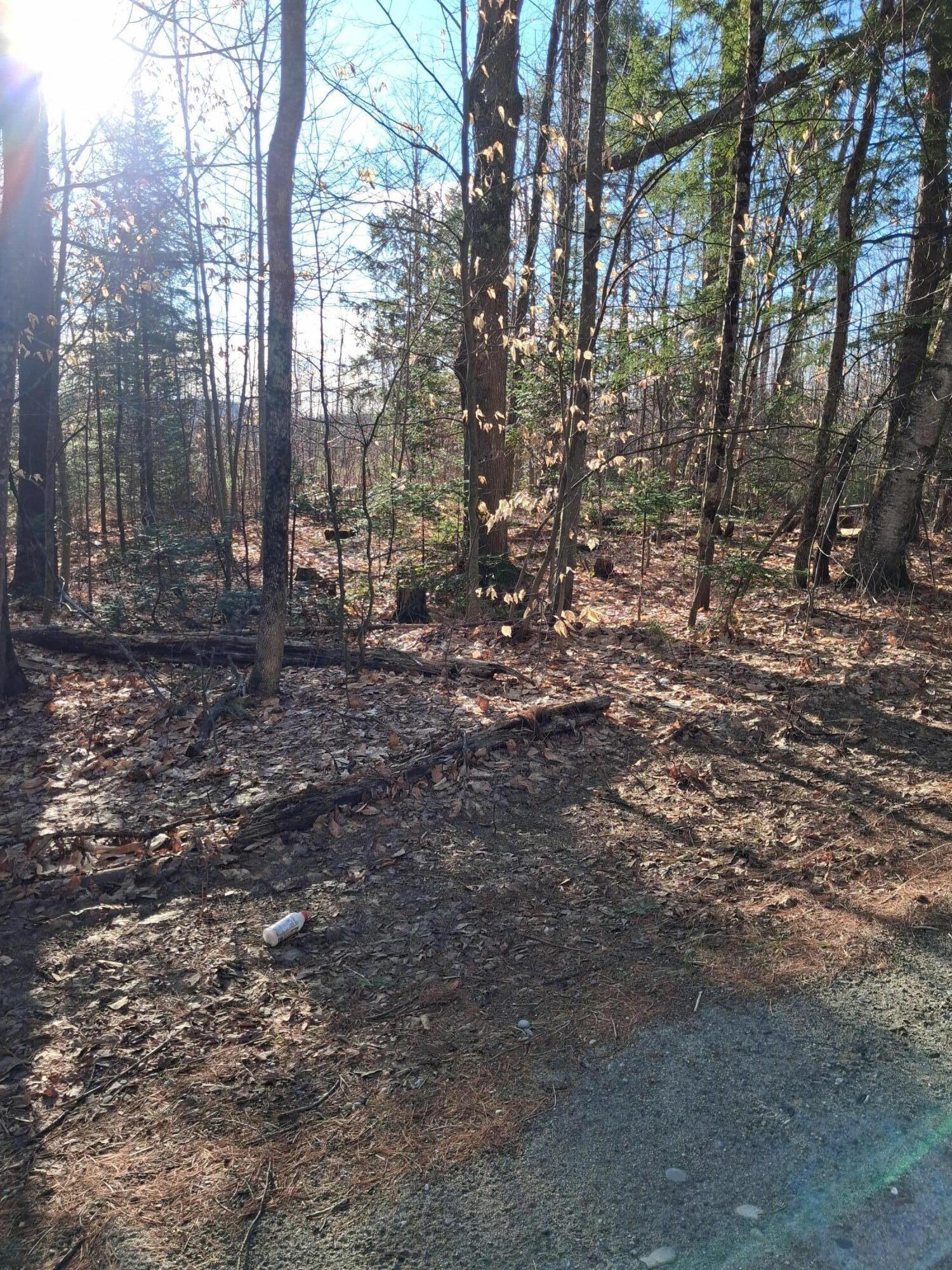 44 Zions Hill Road Chesterville, ME 04938 - Photo 5 of 8 picture 4