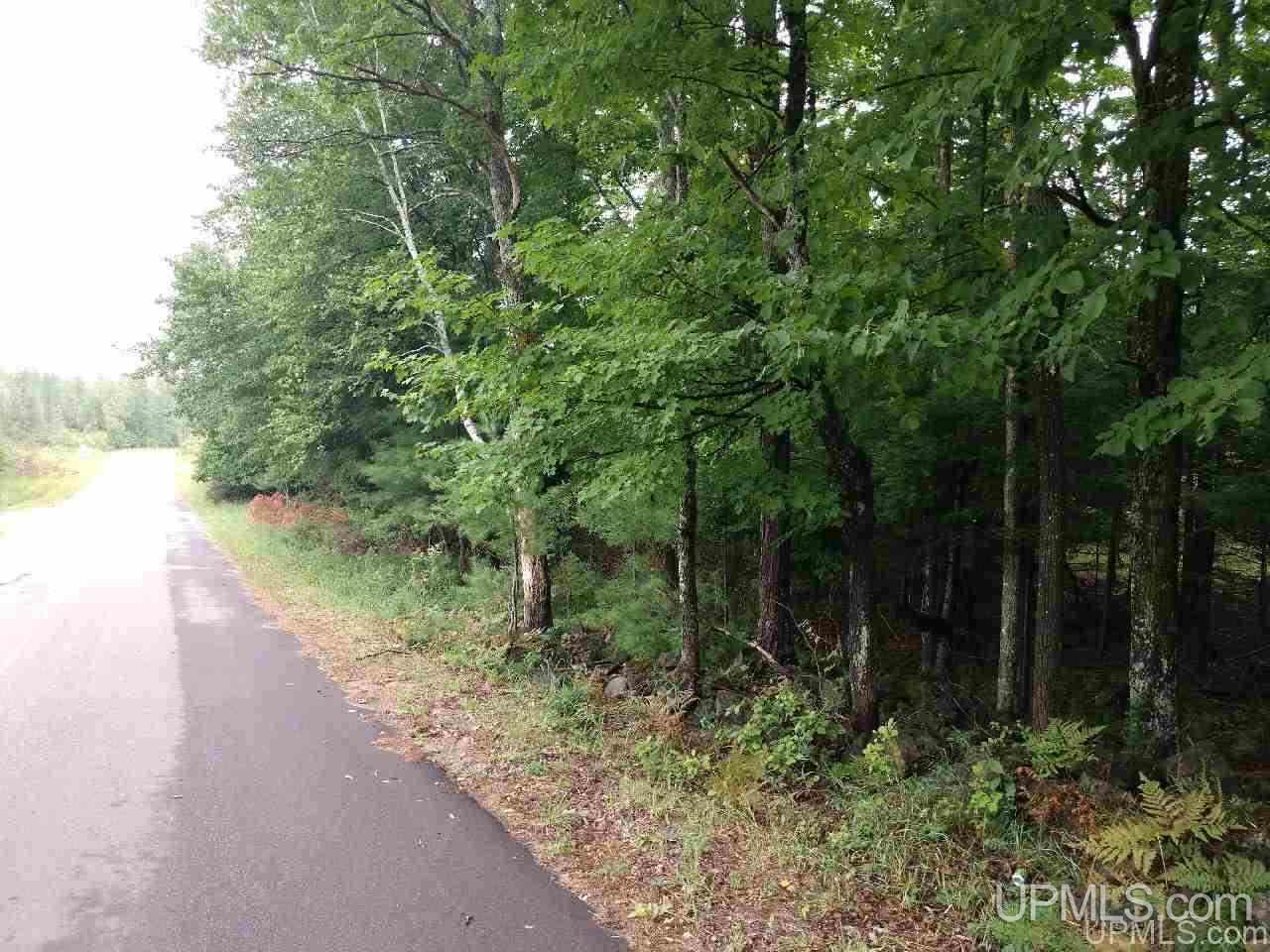 5-acres Co Rd Sa Cornell, MI 49818 - Photo 6 of 27