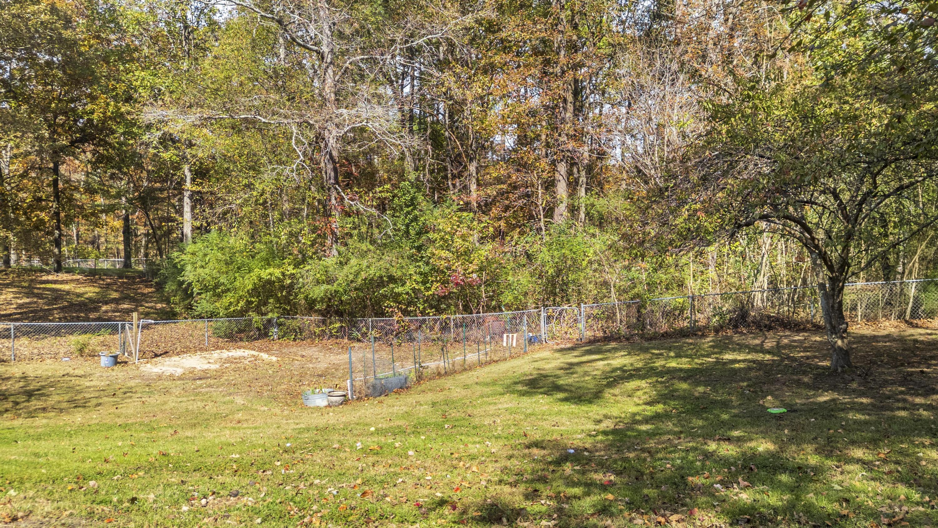 7111 Fine Lane Harrison, TN 37341 - Photo 25 of 28 Backyard
