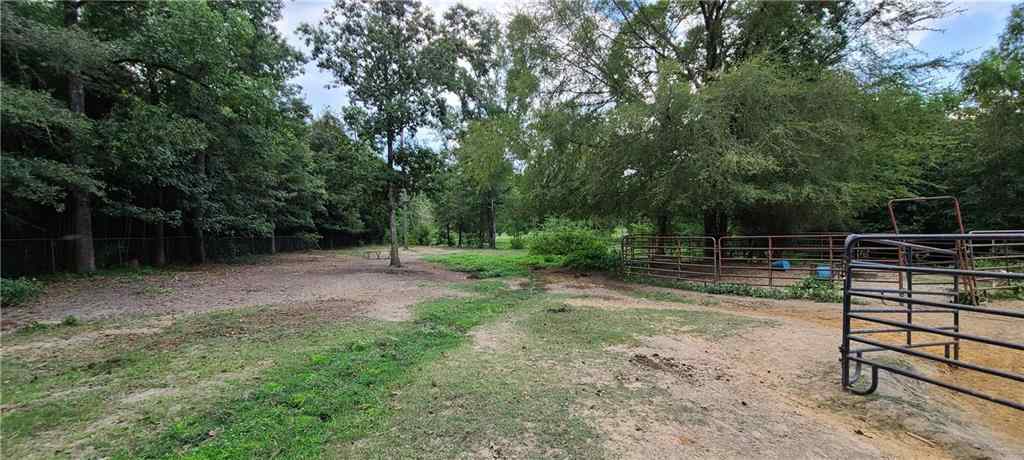 165 Sherman Laird Road Bentley, LA 71407 - Photo 13 of 18 Gallery Image 13