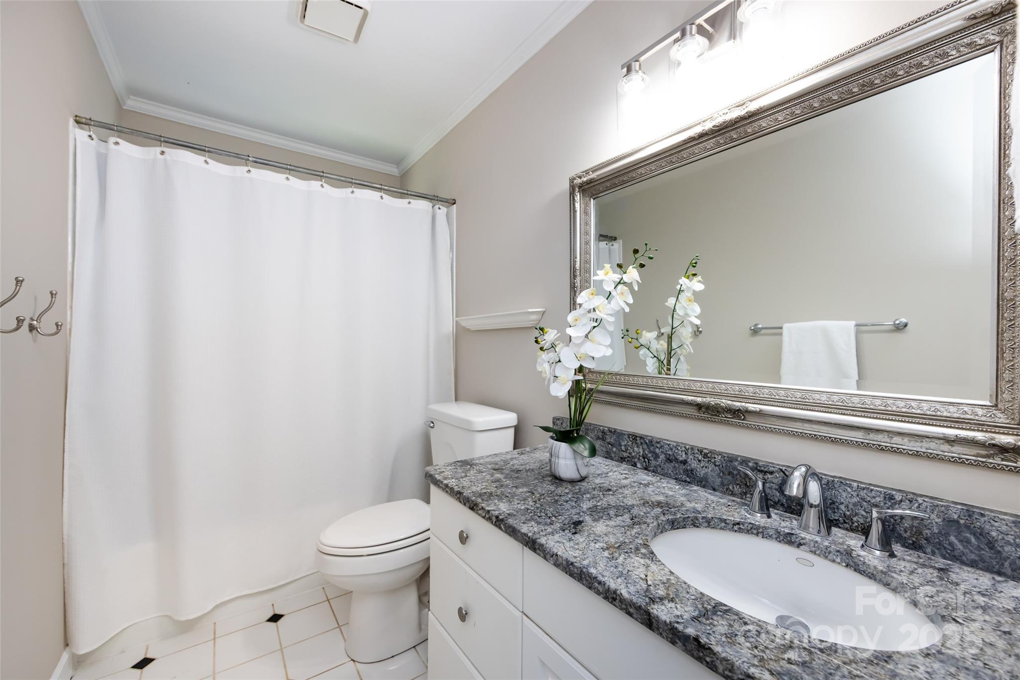 5013 Cedar Forest Drive Charlotte, NC 28226 - Photo 37 of 46 a bathroom with a granite countertop sink a toilet and a mirror