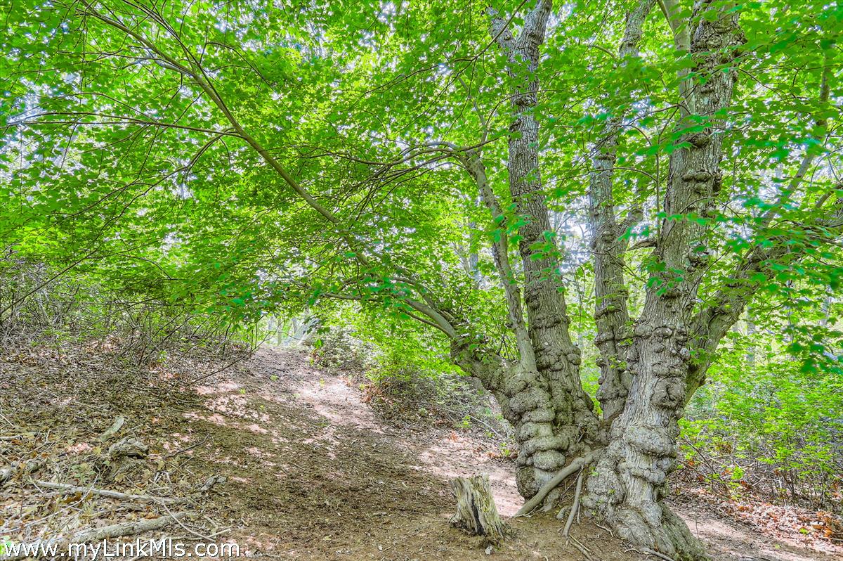 44 Cencelle Chilmark, MA 02535 - Photo 41 of 51