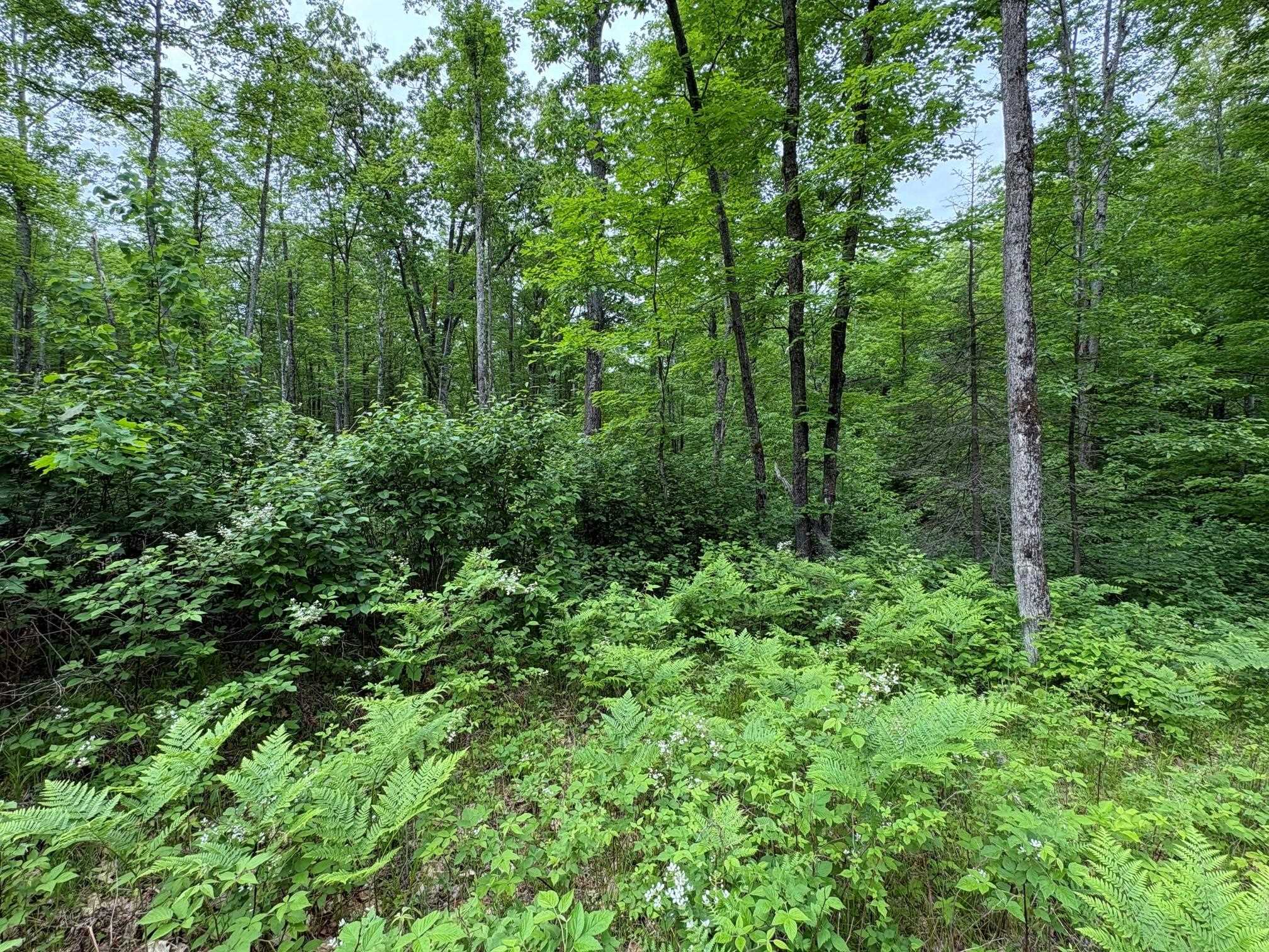 W15816 Fawn Acres Road Fence, WI 54120 - Photo 7 of 14