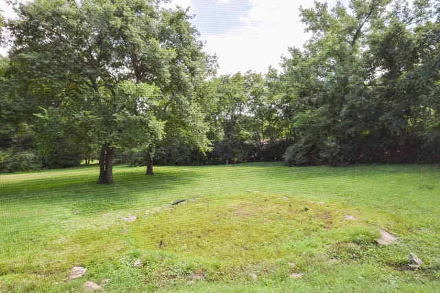 a view of a field with a tree
