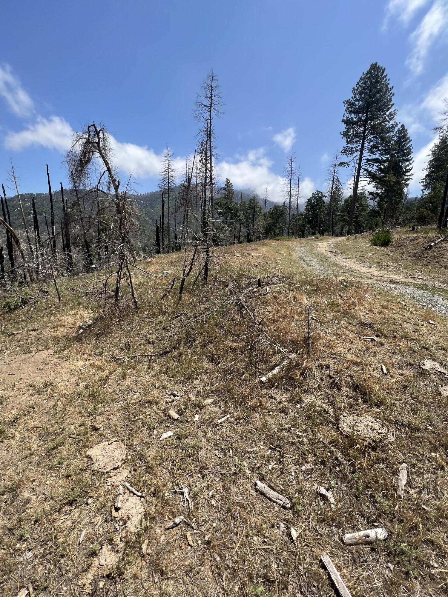 0 Balch Park Road Springville, CA 93265 - Photo 11 of 27 a view of a dry yard with wooden fence