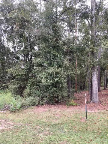 $29,000 | Tbd Southwest Summerset Way, Mayo, FL 32066