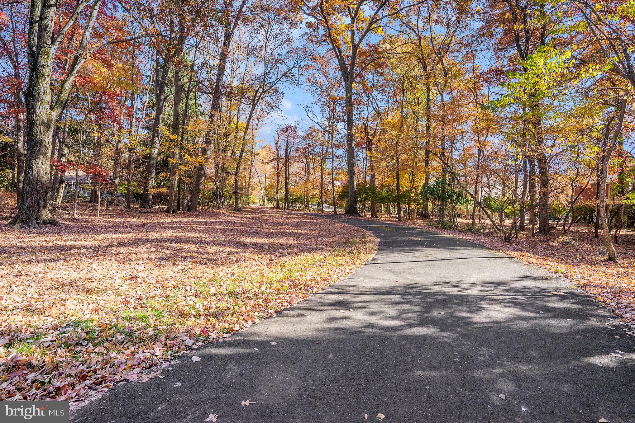 1210 Dickerson Road North Wales, PA 19454 - Photo 6 of 44 Driveway