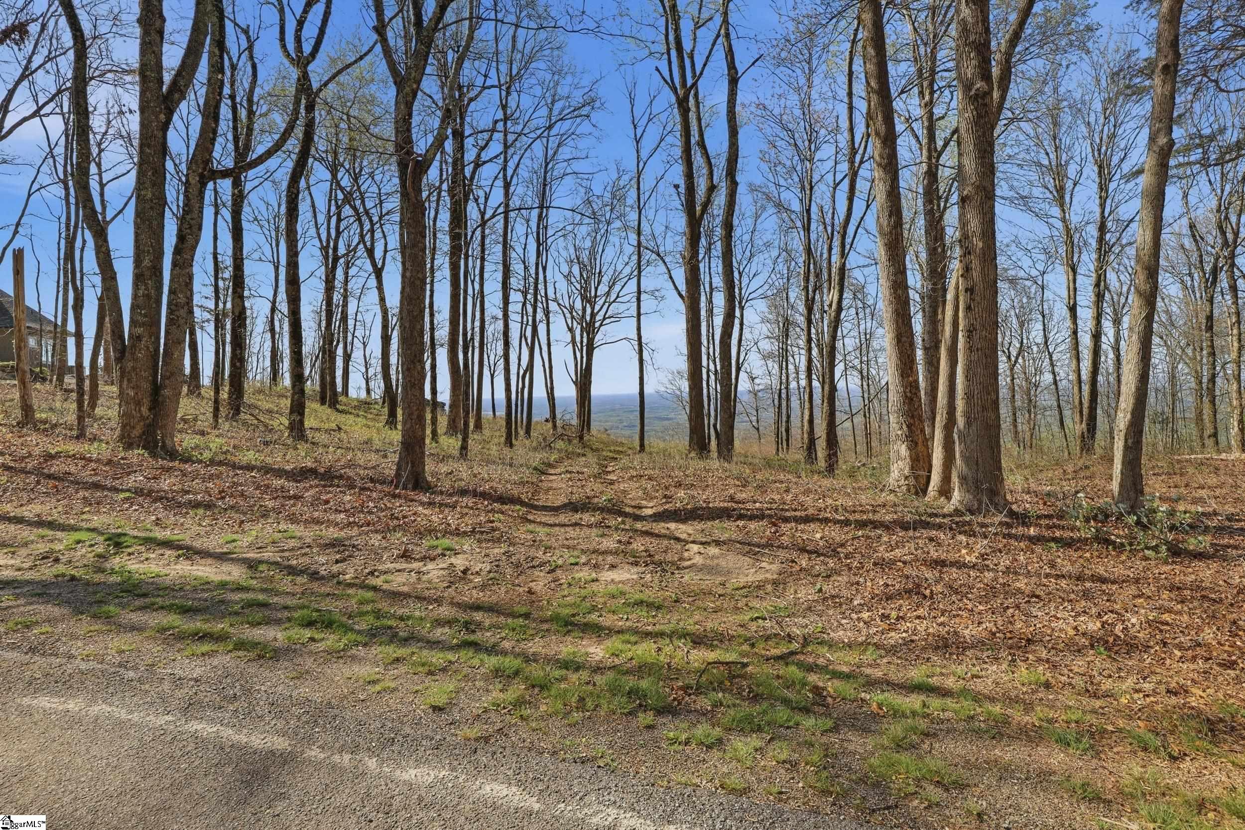 Rose Pink Trail Landrum, SC 29356 - Photo 11 of 34