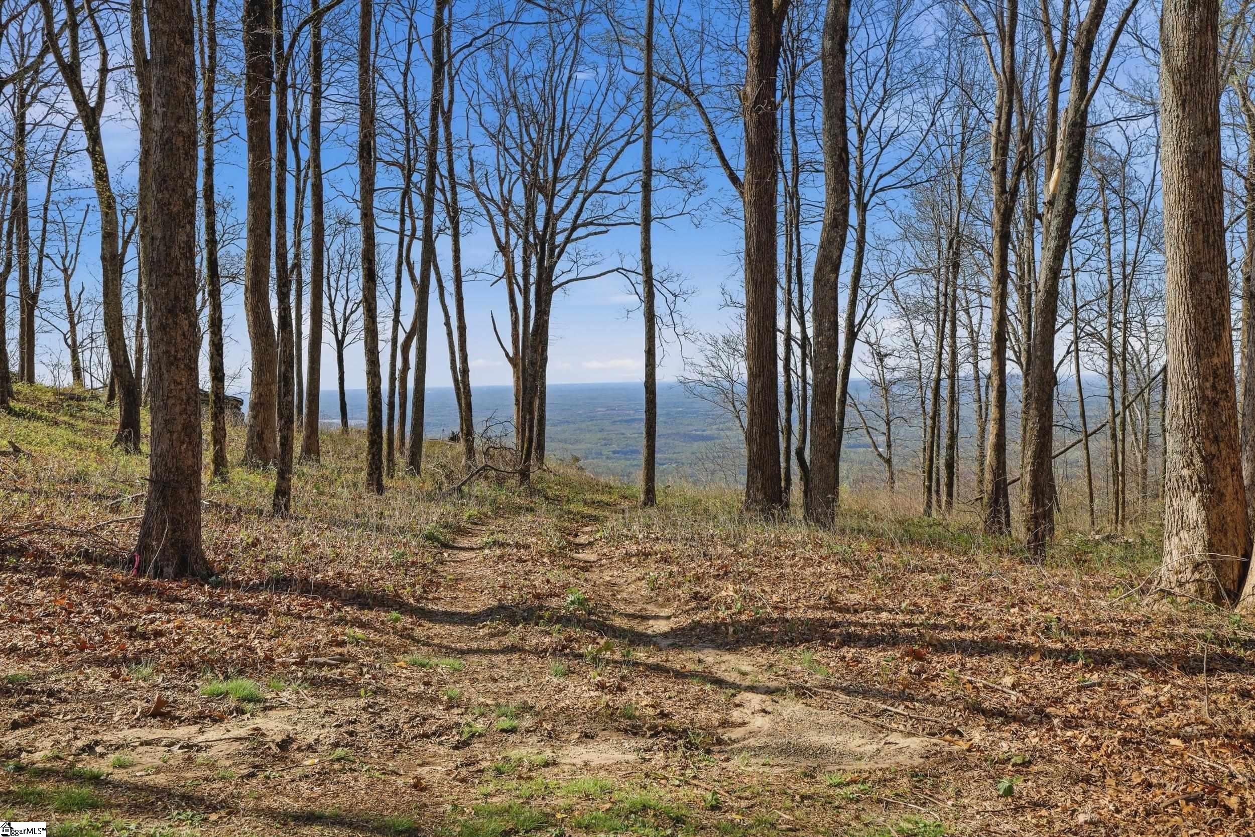 Rose Pink Trail Landrum, SC 29356 - Photo 12 of 34