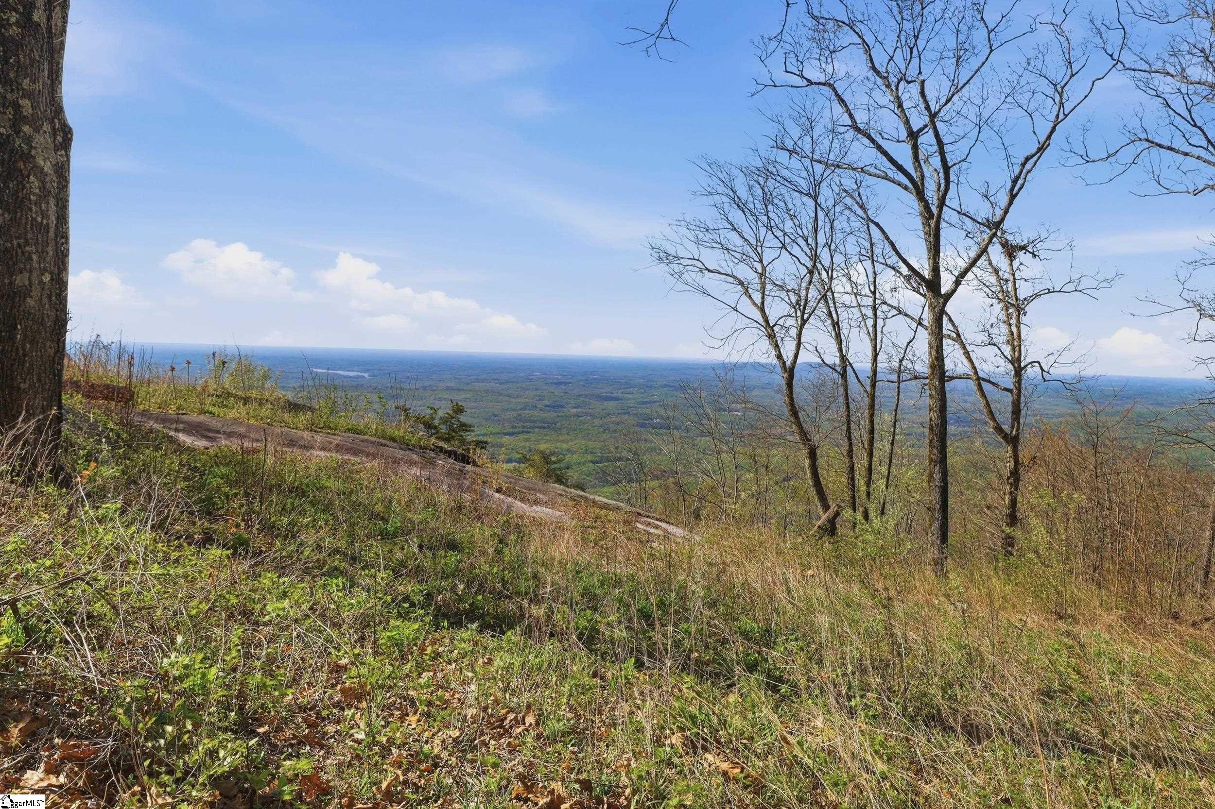 Rose Pink Trail Landrum, SC 29356 - Photo 14 of 34