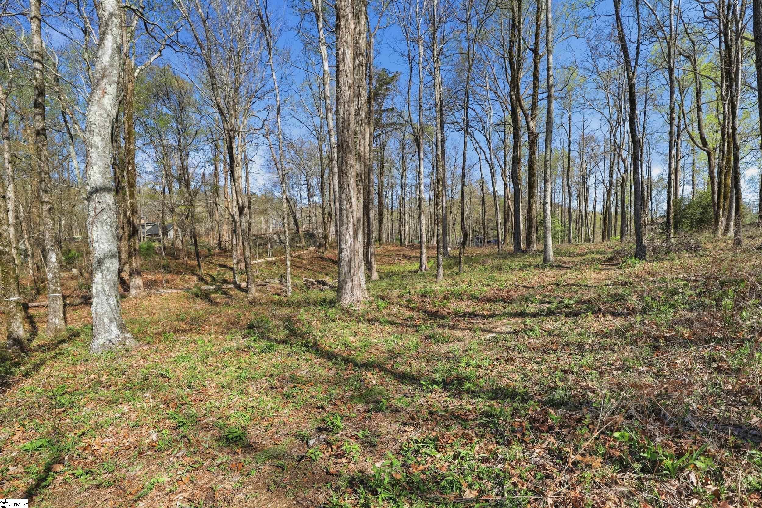 Rose Pink Trail Landrum, SC 29356 - Photo 15 of 34