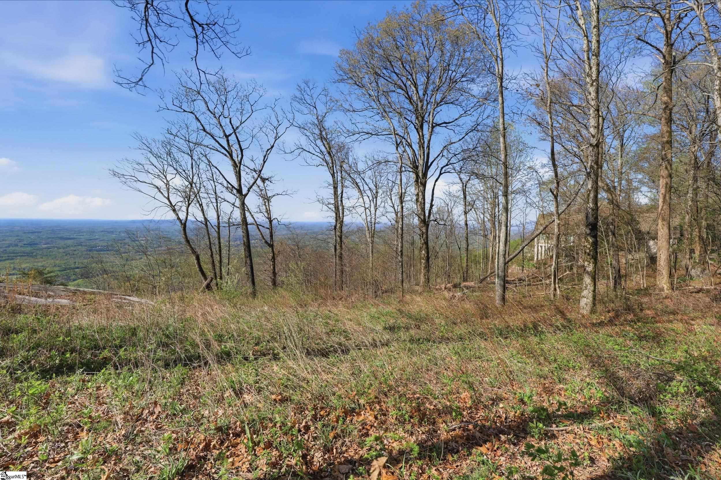 Rose Pink Trail Landrum, SC 29356 - Photo 16 of 34