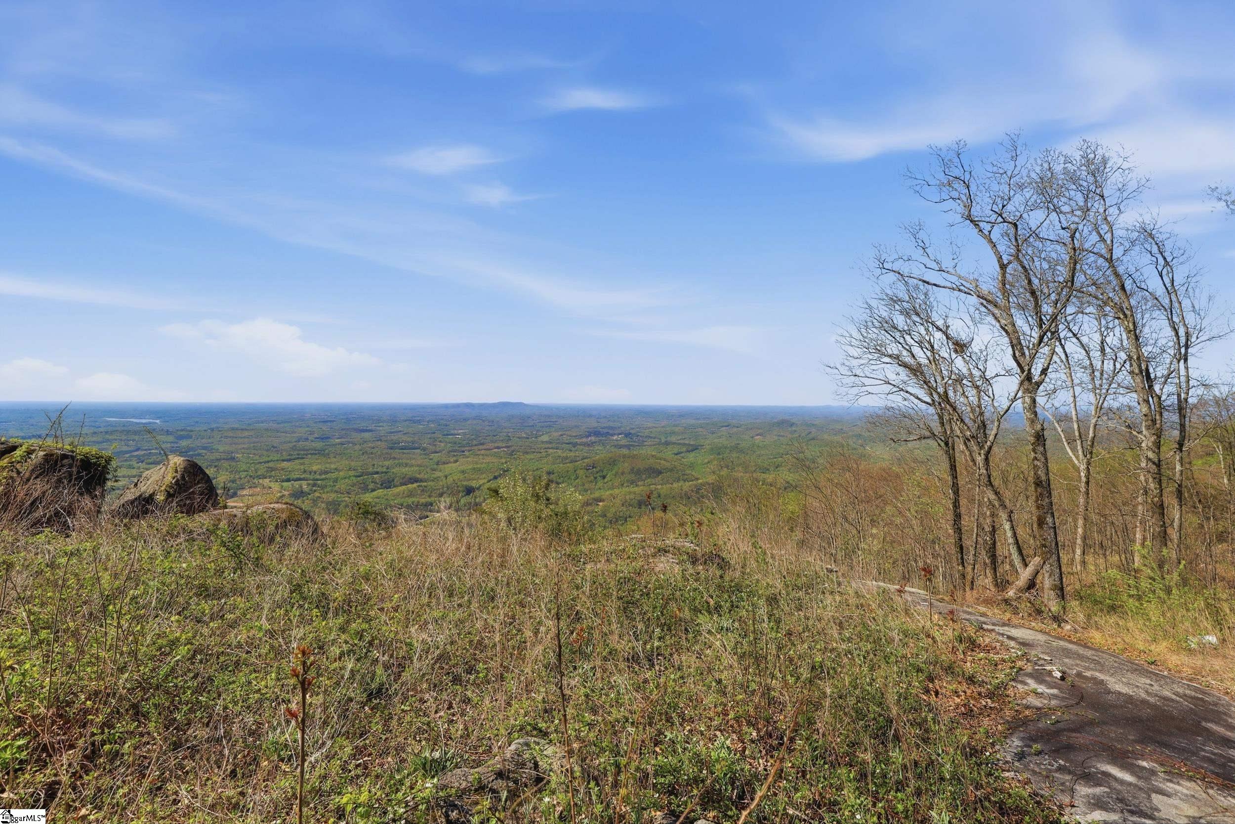 Rose Pink Trail Landrum, SC 29356 - Photo 17 of 34