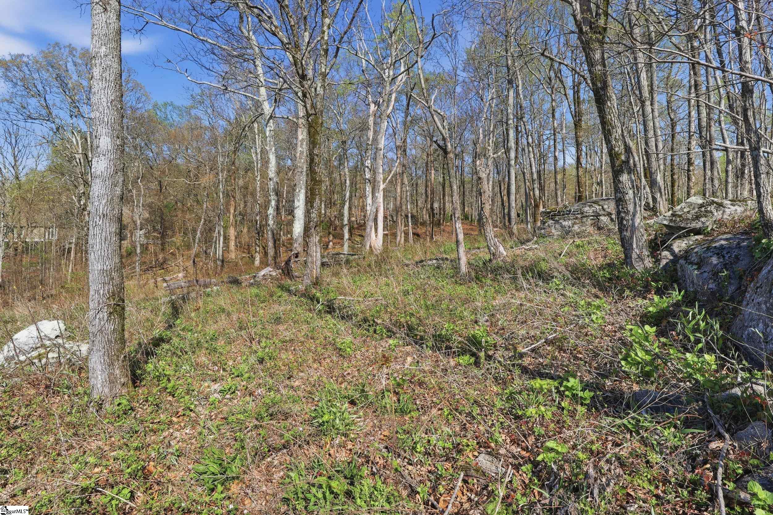 Rose Pink Trail Landrum, SC 29356 - Photo 18 of 34
