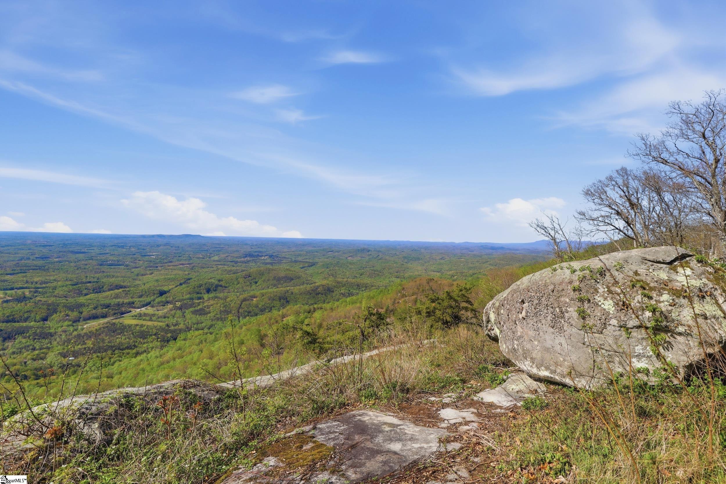 Rose Pink Trail Landrum, SC 29356 - Photo 19 of 34