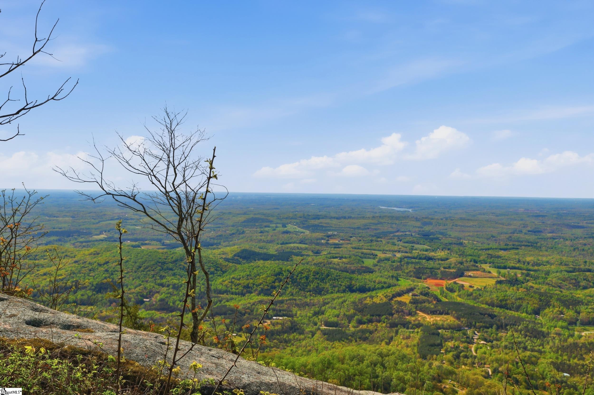 Rose Pink Trail Landrum, SC 29356 - Photo 21 of 34