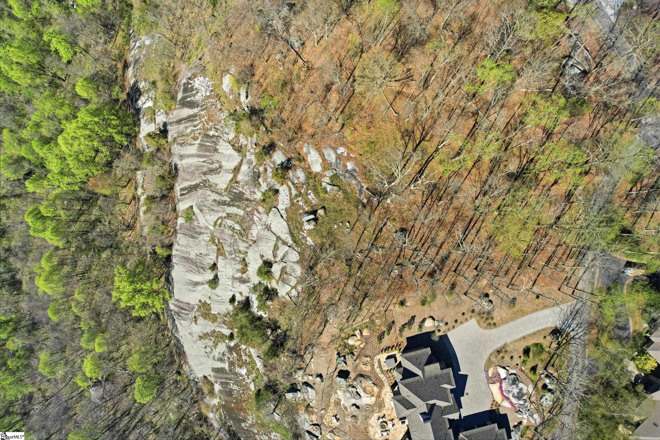 Rose Pink Trail Landrum, SC 29356 - Photo 8 of 34