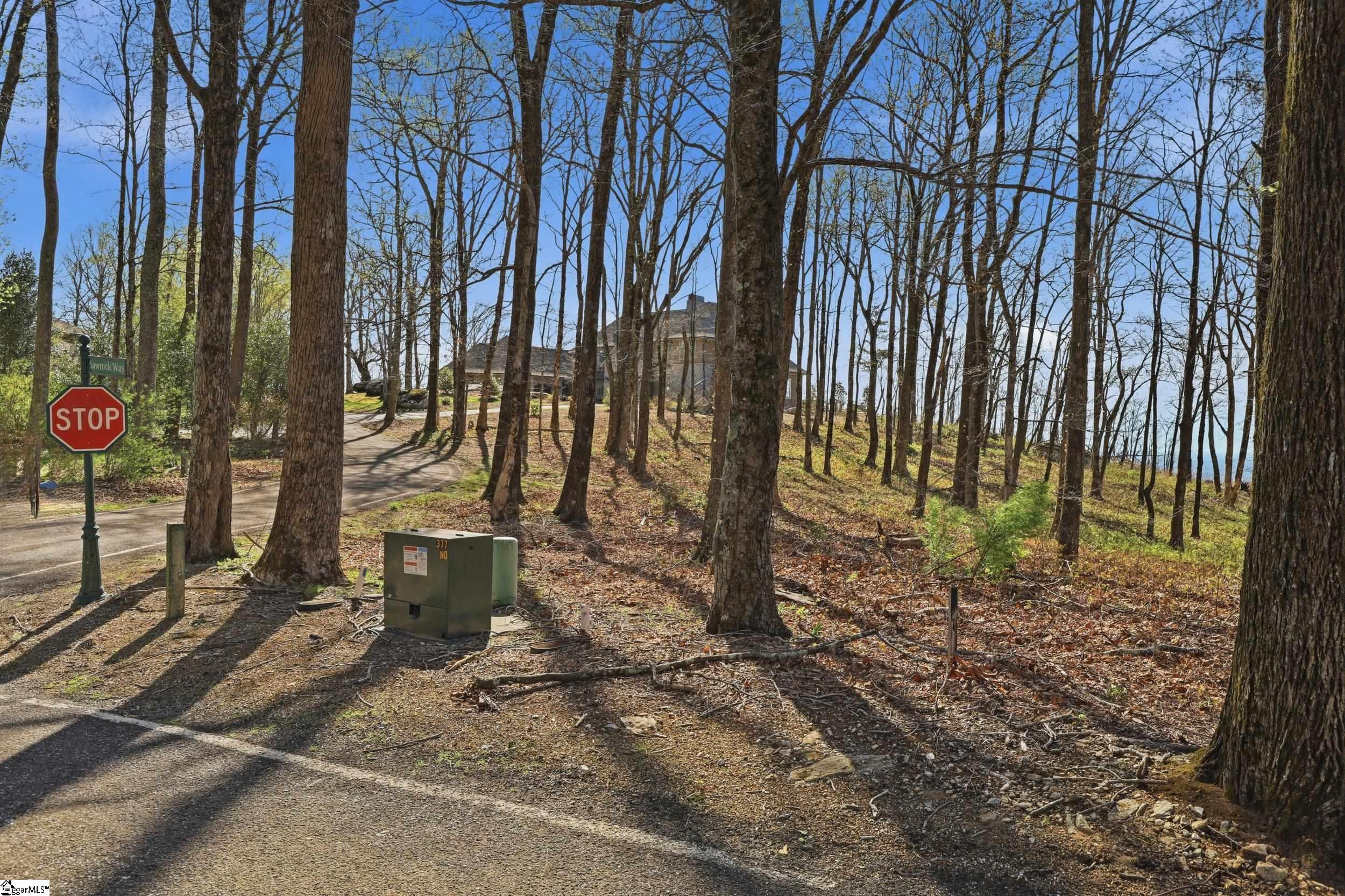 Rose Pink Trail Landrum, SC 29356 - Photo 9 of 34