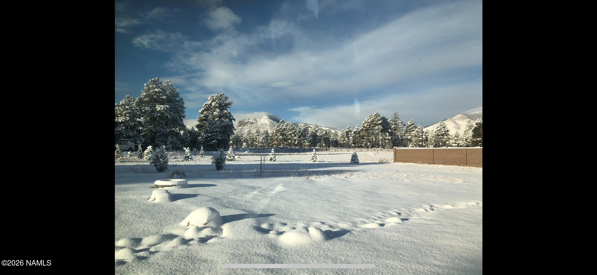 10290 Lundin Road Flagstaff, AZ 86004 - Photo 40 of 58 Backyard