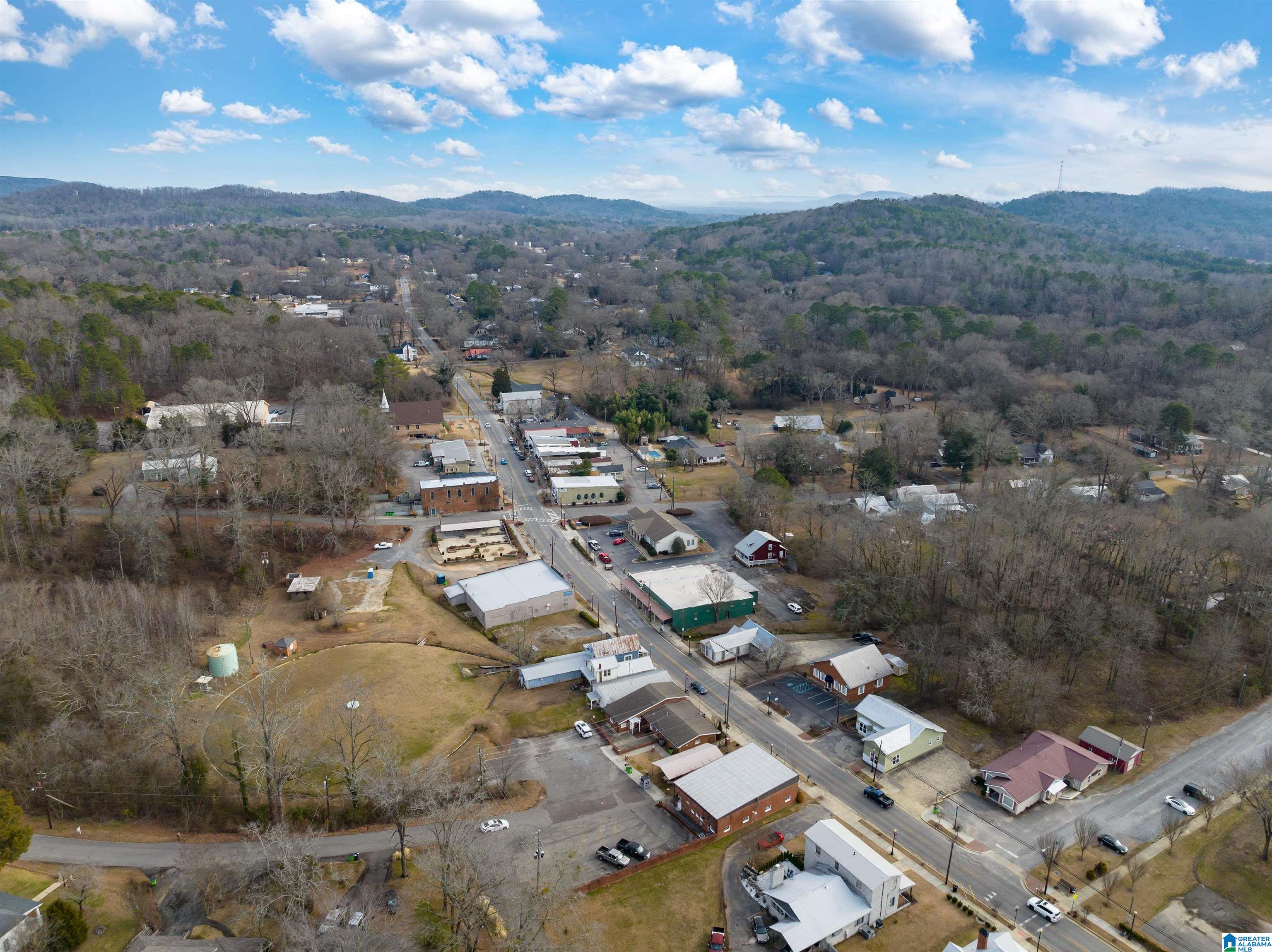 21 Bruce Street Springville, AL 35146 - Photo 42 of 43