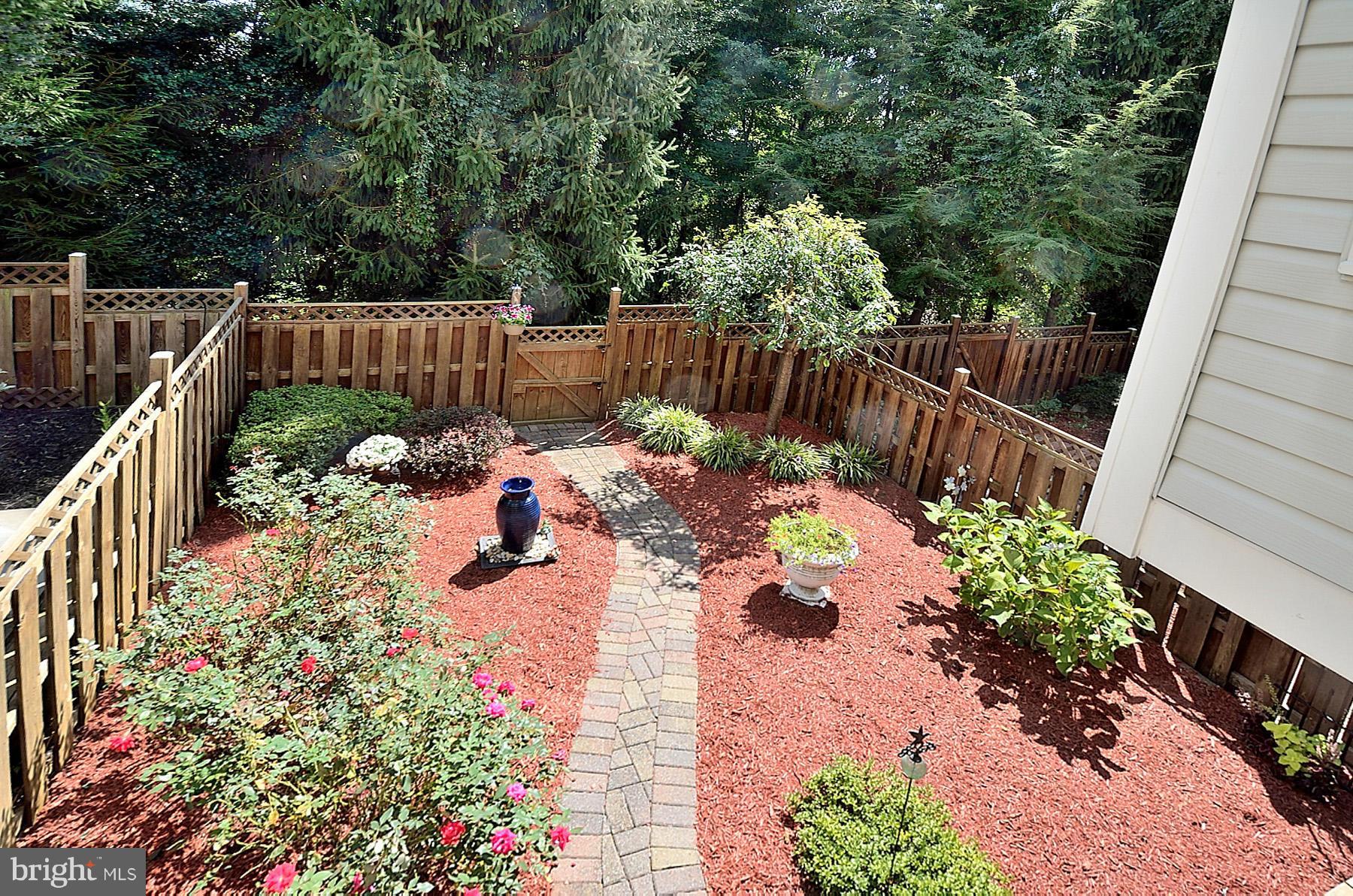 3617 Ransom Place Alexandria, VA 22306 - Photo 24 of 26 Back Yard