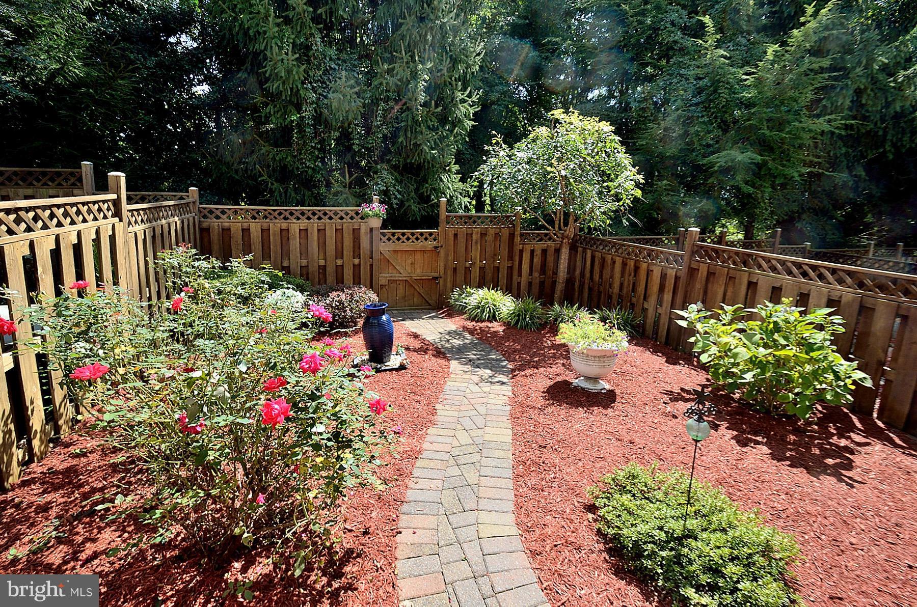 3617 Ransom Place Alexandria, VA 22306 - Photo 25 of 26 Back Yard