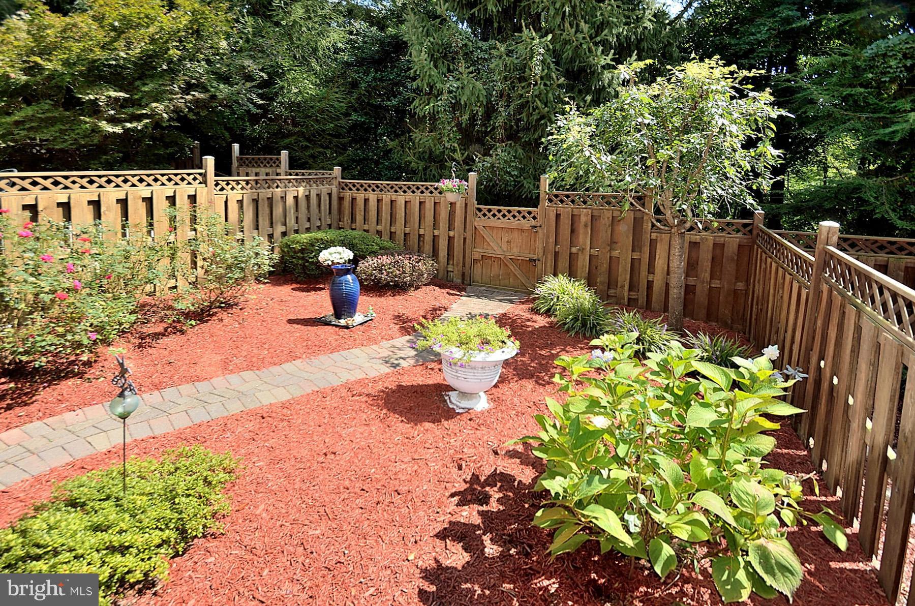 3617 Ransom Place Alexandria, VA 22306 - Photo 26 of 26 Back Yard