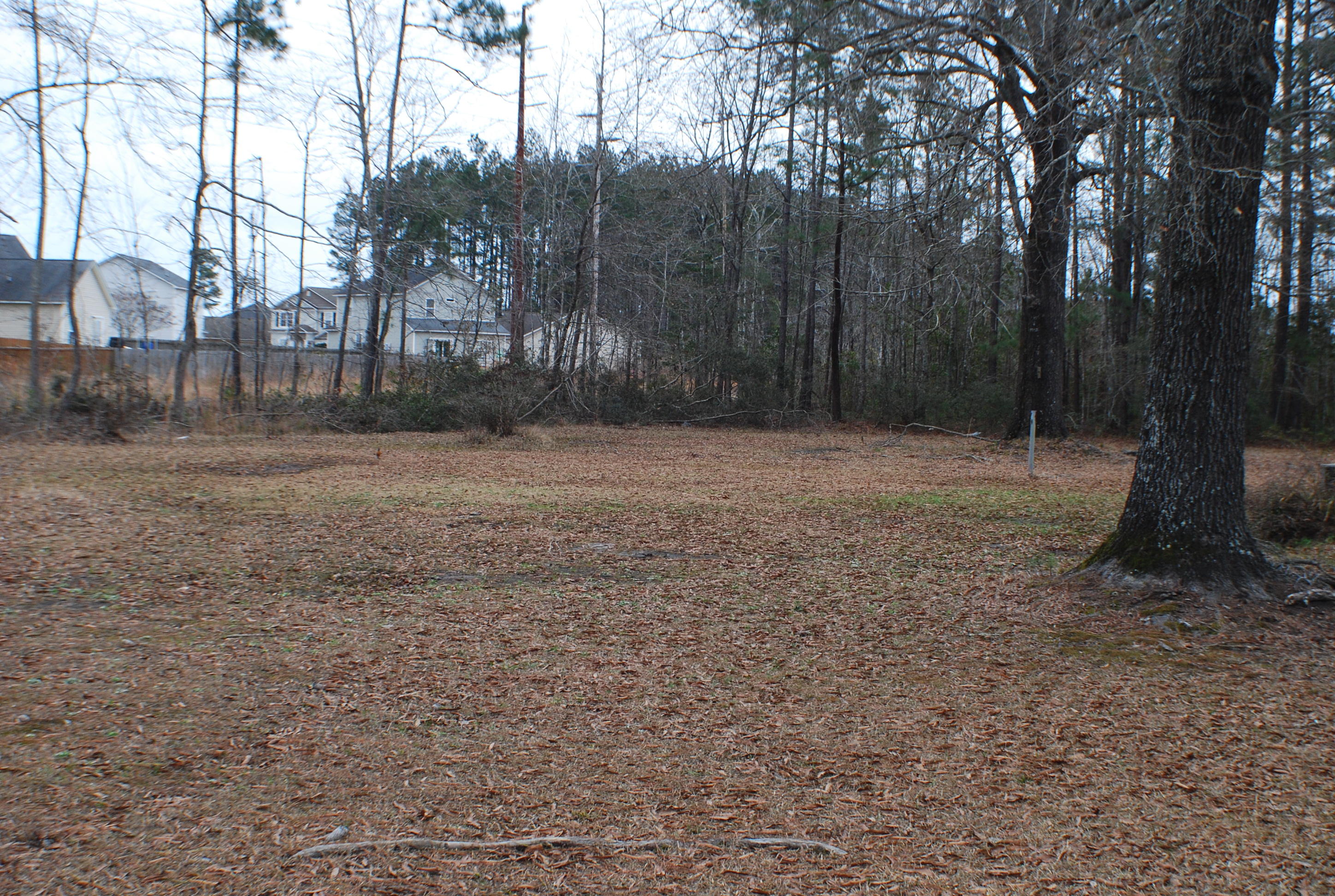 932 Jedburg Road Summerville, SC 29486 - Photo 2 of 13 DSC_7722