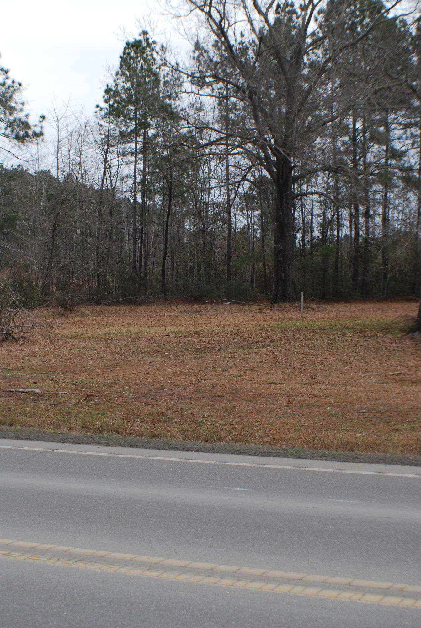 932 Jedburg Road Summerville, SC 29486 - Photo 4 of 13 DSC_7724