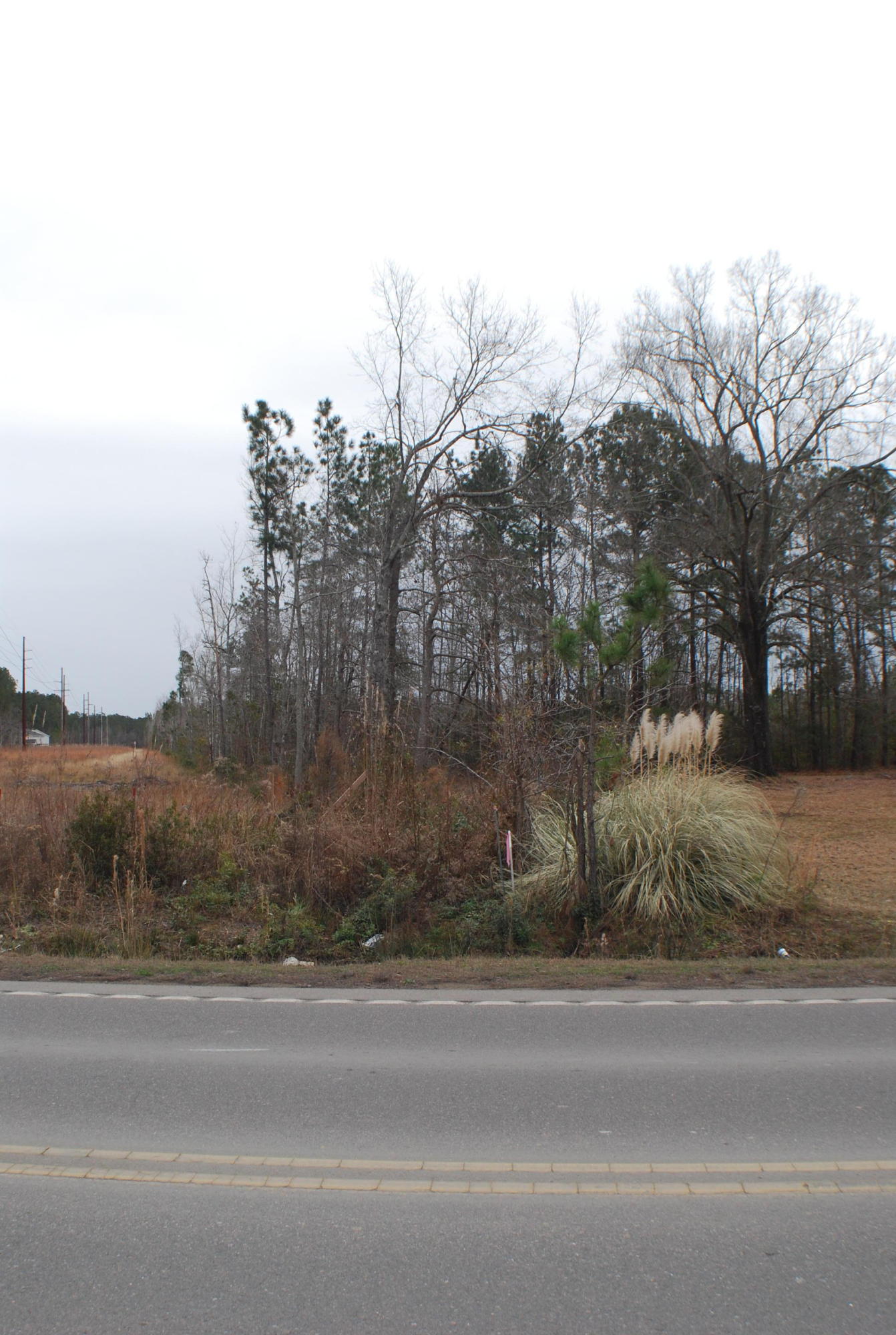 932 Jedburg Road Summerville, SC 29486 - Photo 7 of 13 DSC_7729
