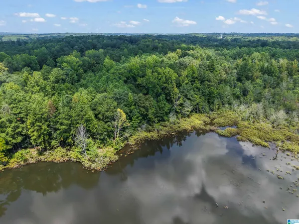 $88,000 | 4826 North Us Highway North, Unit 5 6 ACRES, Marbury, AL 36051