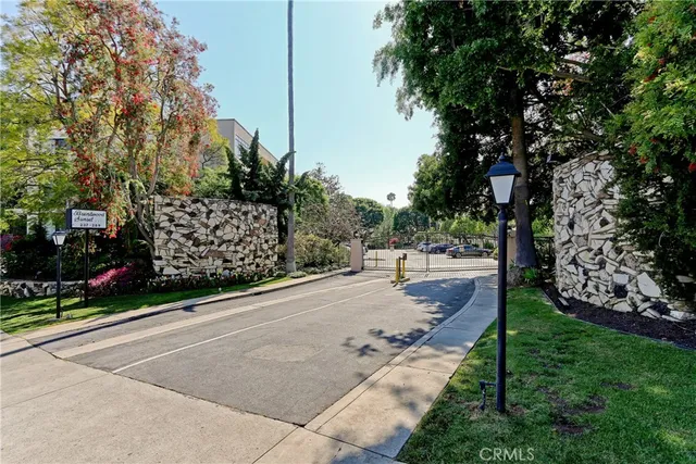 a street view with large trees