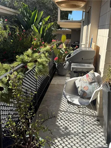 a picture of flowers and flowers