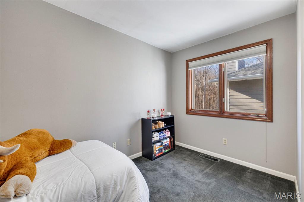 1884 Morgan Road Barnhart, MO 63012 - Photo 27 of 50