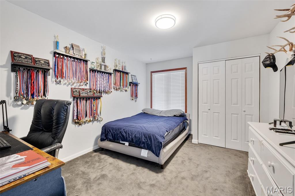 1884 Morgan Road Barnhart, MO 63012 - Photo 36 of 50