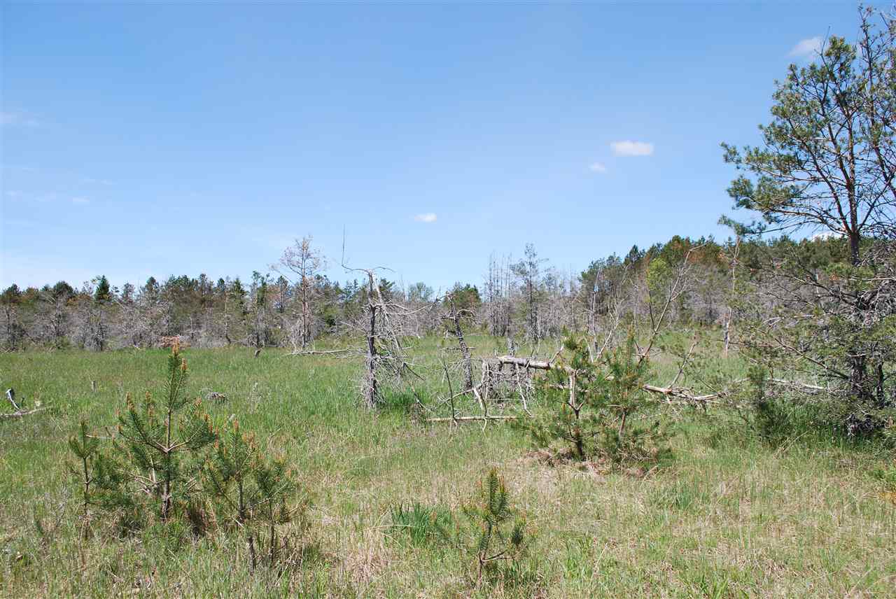 Parcel #2-5 Southeast Parcel Road Kalkaska, MI 49646 - Photo 1 of 10