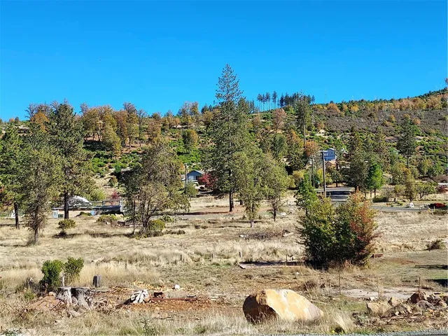 a view of a yard with trees in the background