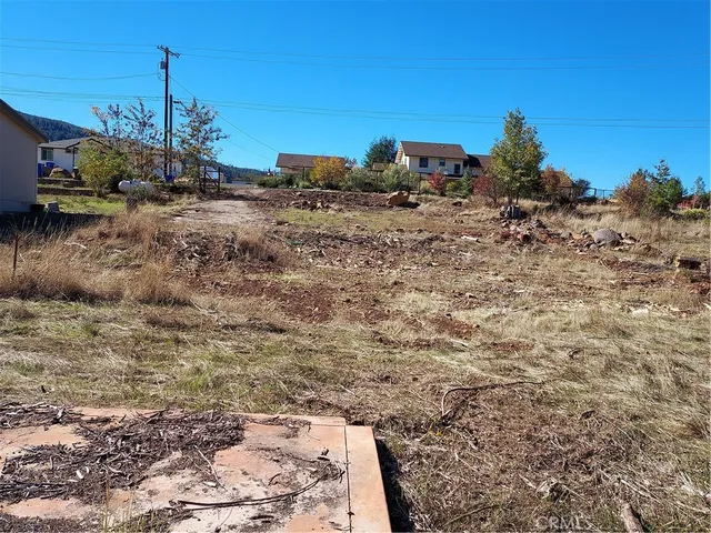 a view of a dry yard with trees
