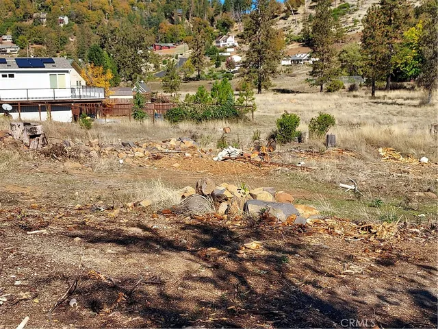 a view of yard with trees