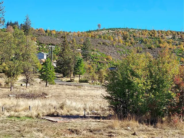 a view of a dry yard with wooden fence