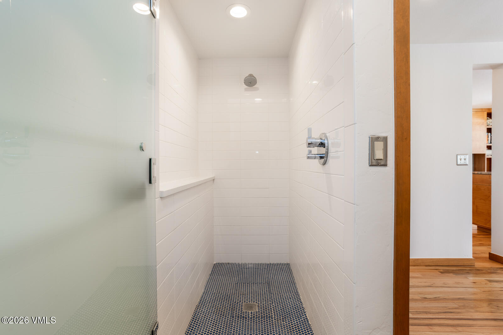 5580 Coyote Ridge Avon, CO 81620 - Photo 14 of 38 Shower