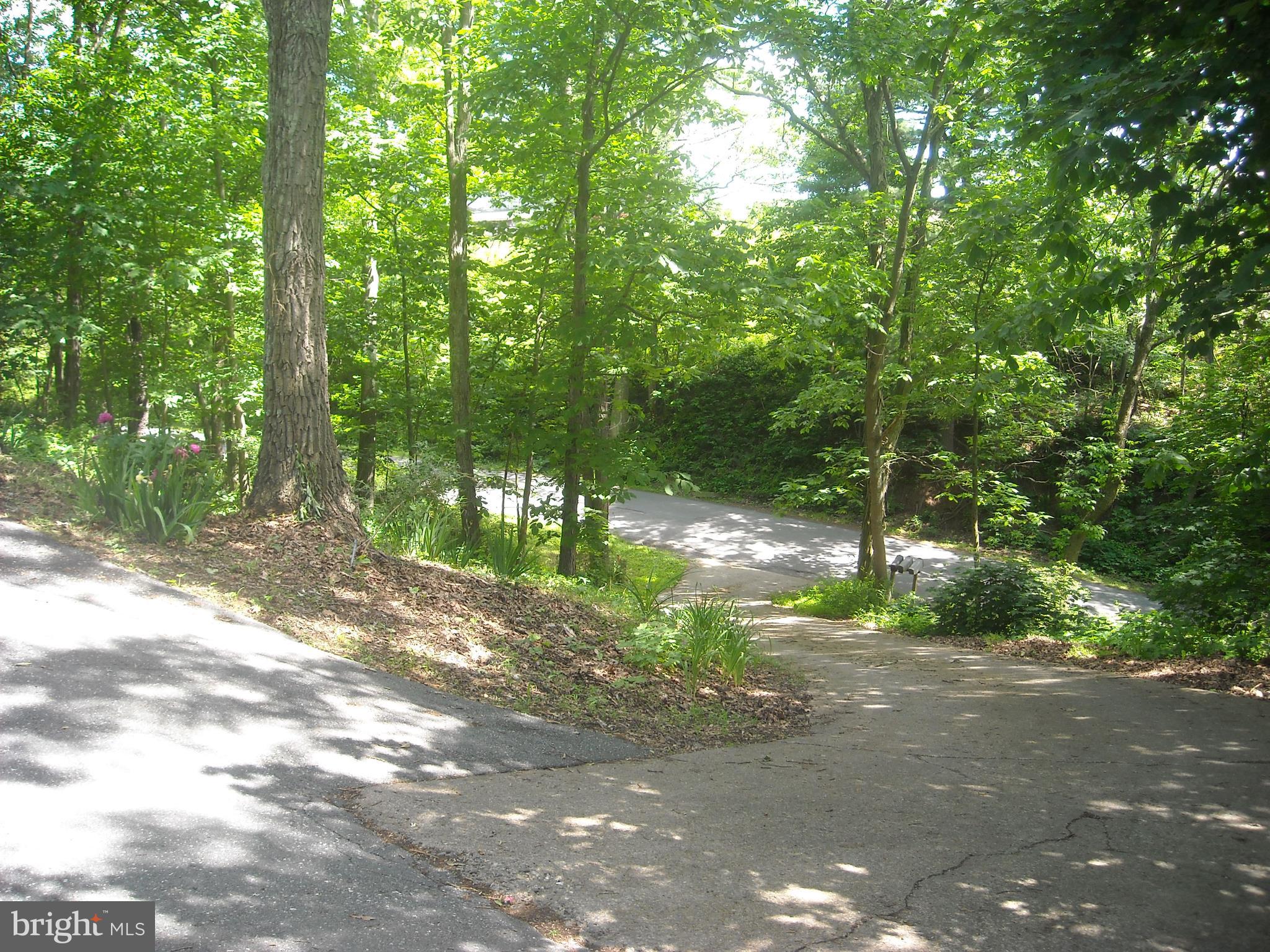 58 Hoffman Road Duncannon, PA 17020 - Photo 4 of 5 Looking down Driveway