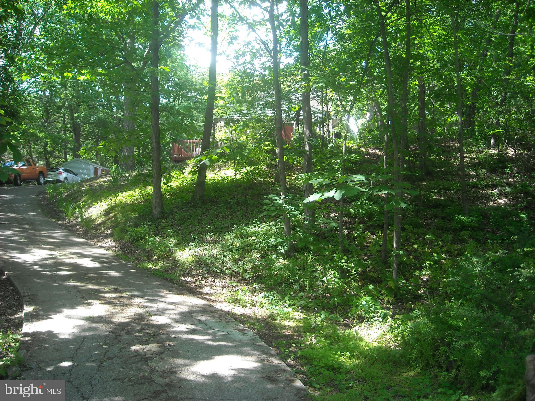 58 Hoffman Road Duncannon, PA 17020 - Photo 5 of 5 Looking up Drive way
