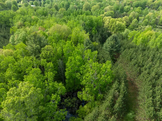 $799,000 | 157.22 East 24th Street, Reed City, MI 49677