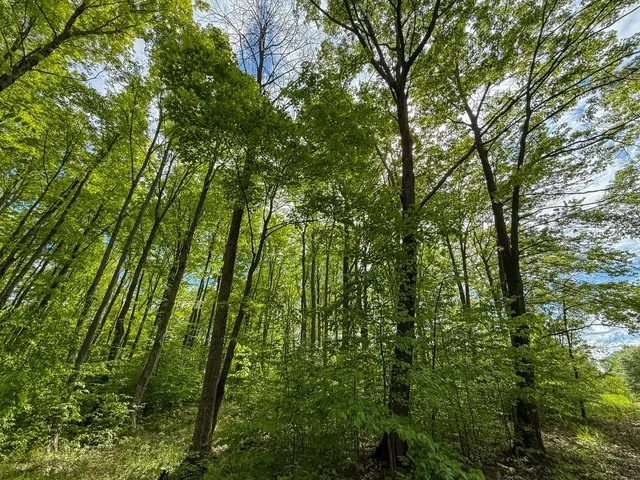 $799,000 | 157.22 East 24th Street, Reed City, MI 49677