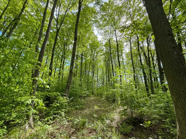 $799,000 | 157.22 East 24th Street, Reed City, MI 49677