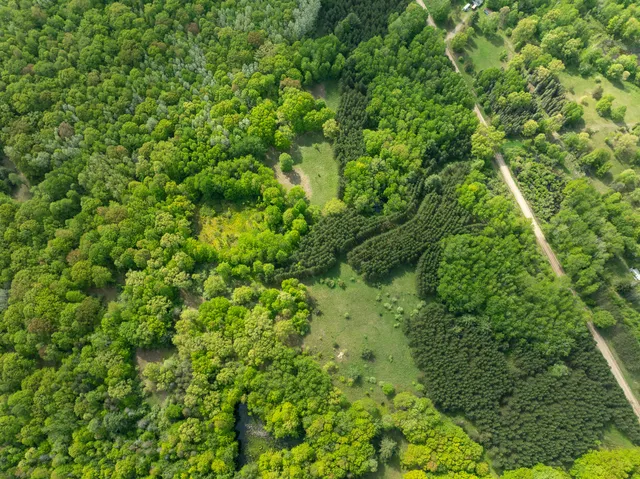 $799,000 | 157.22 East 24th Street, Reed City, MI 49677