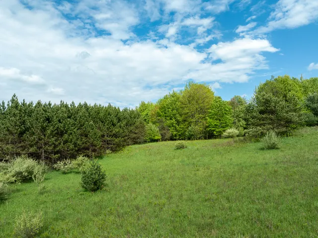 $799,000 | 157.22 East 24th Street, Reed City, MI 49677