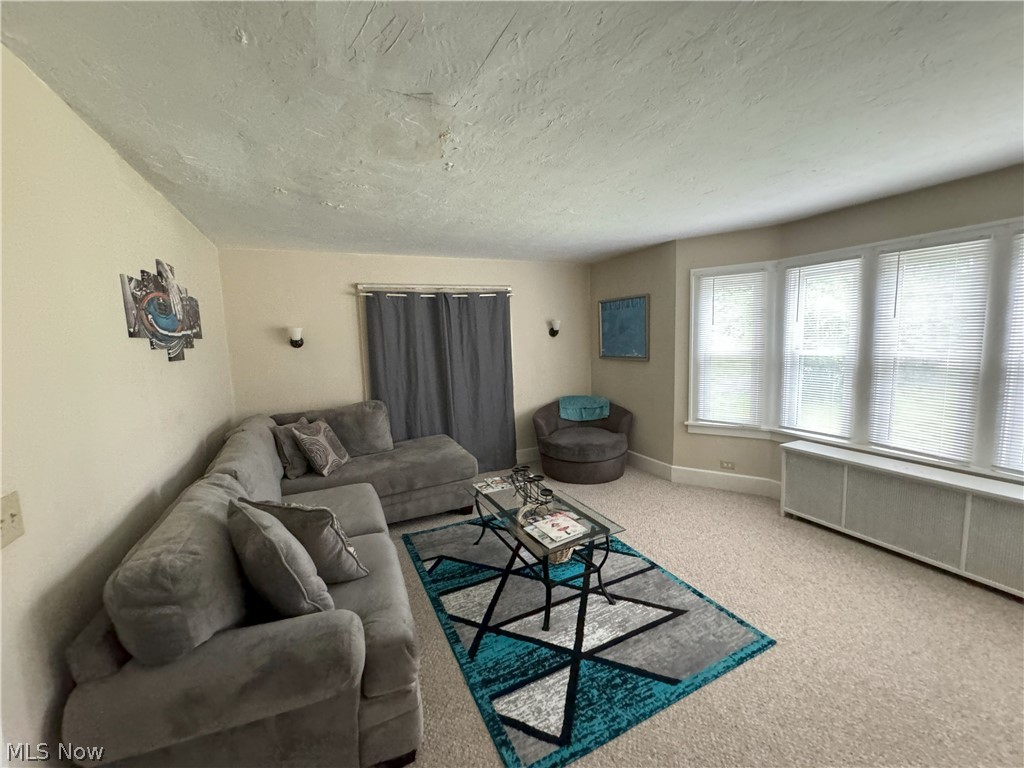 317 Center Road Bedford, OH 44146 - Photo 9 of 16 Carpeted living room featuring a textured ceiling