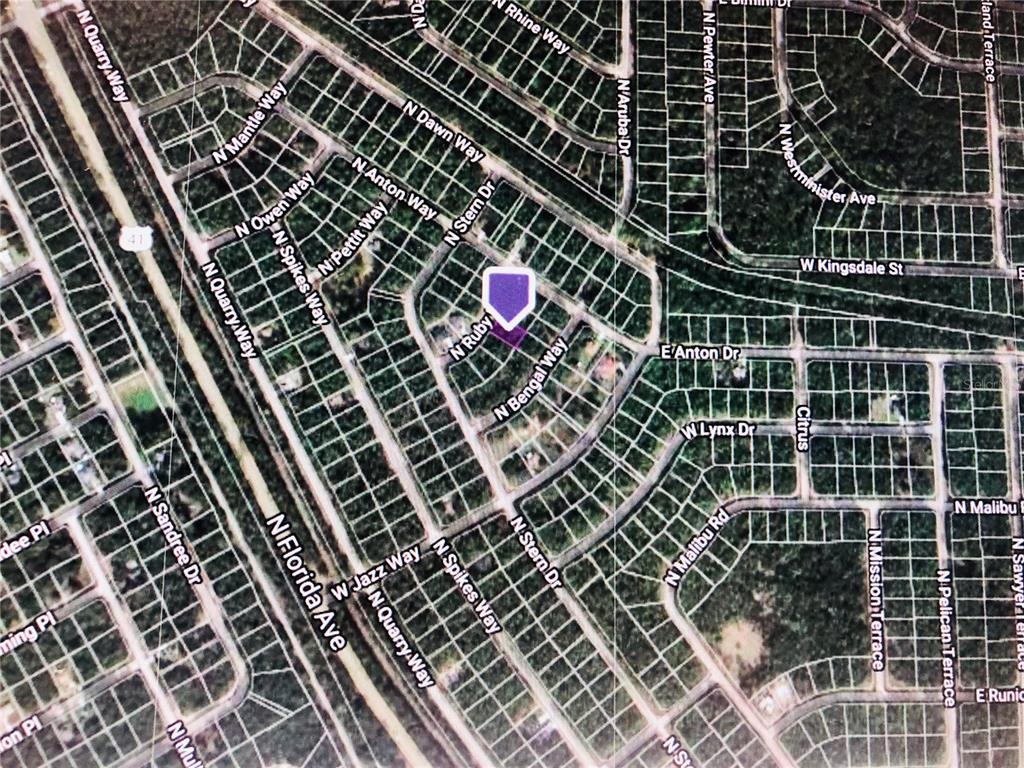 8991 North Ruby Way Citrus Springs, FL 34434 - Photo 2 of 3